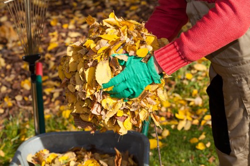 Eco-friendly disposal during garage clearance